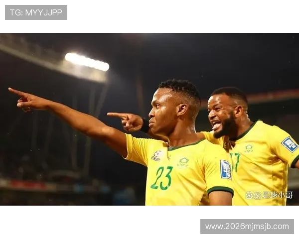 南非世界杯决赛精彩集锦:比赛中的关键时刻与精彩进球