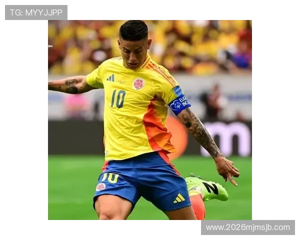 世界杯南美区预选赛排名最新动态全面解析助你掌握南美区晋级形势